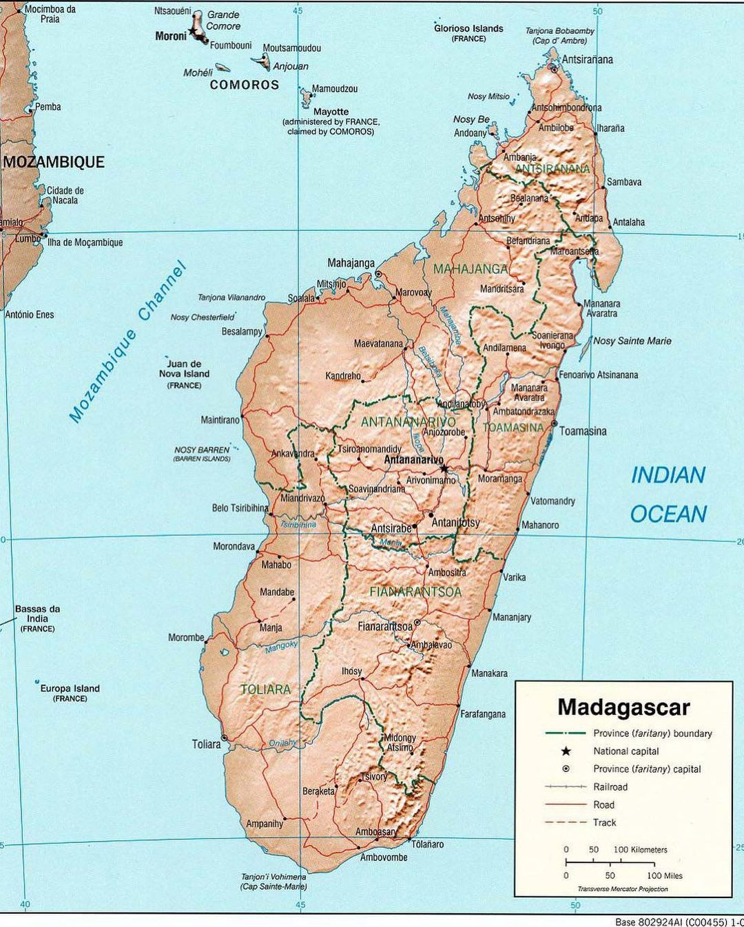 馬達加斯加木化石