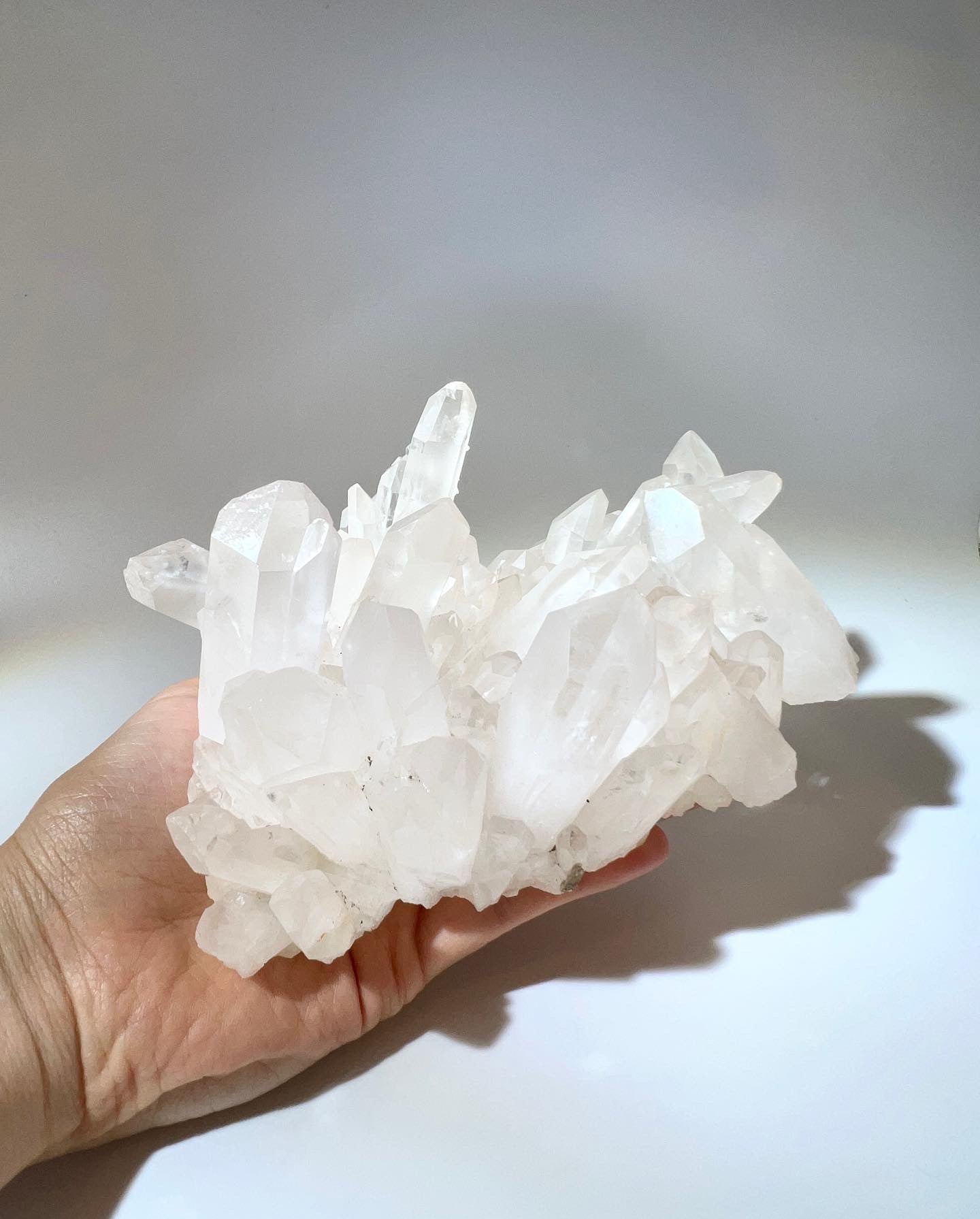 白晶簇 (多牙實用)