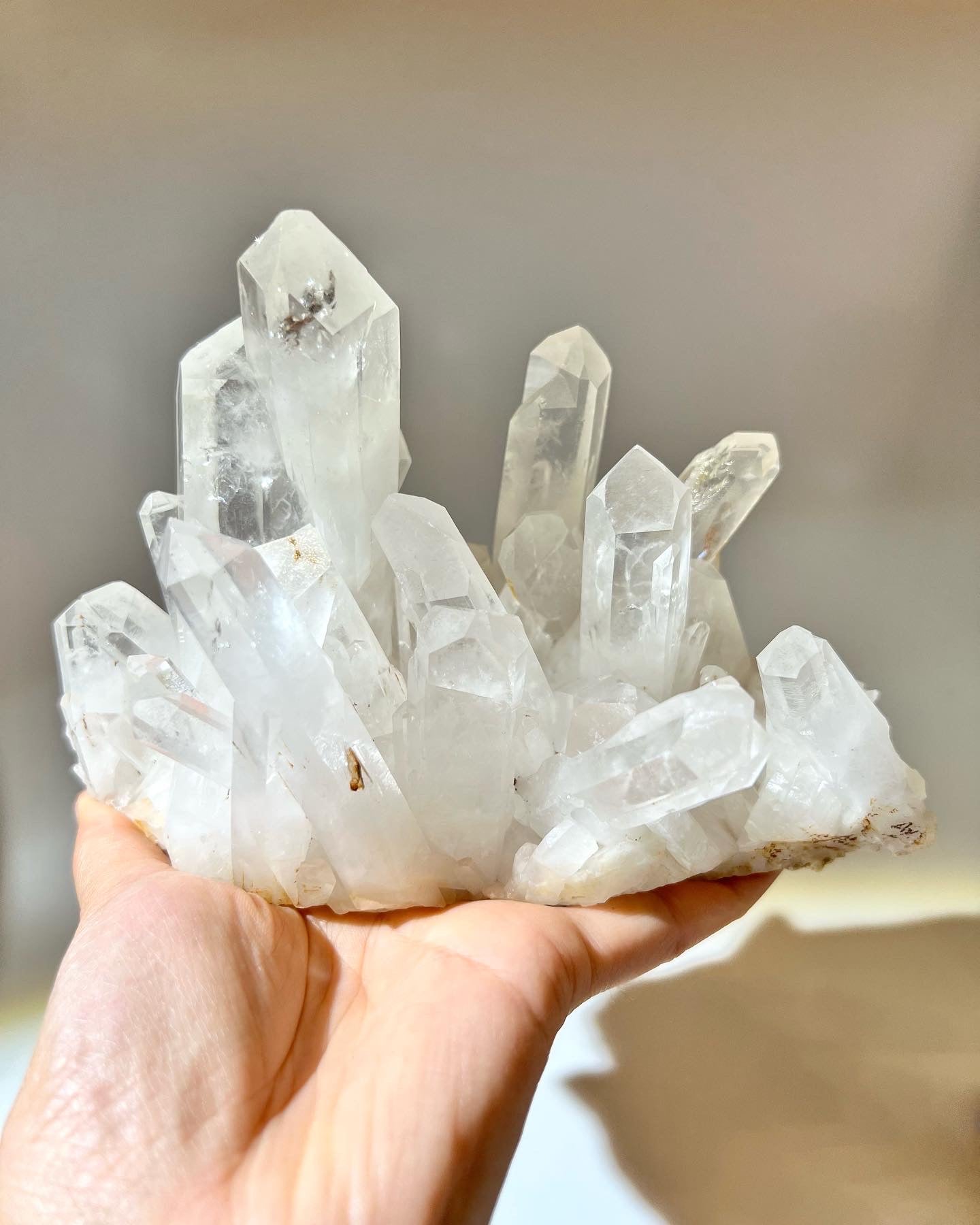 白晶簇