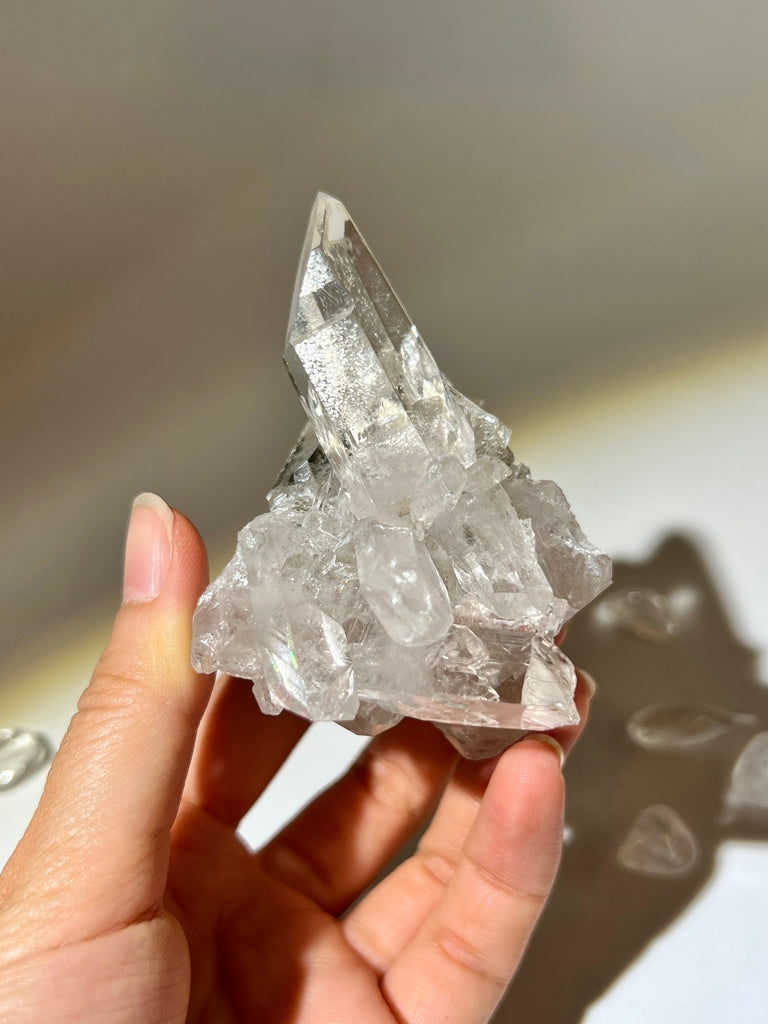 白晶簇