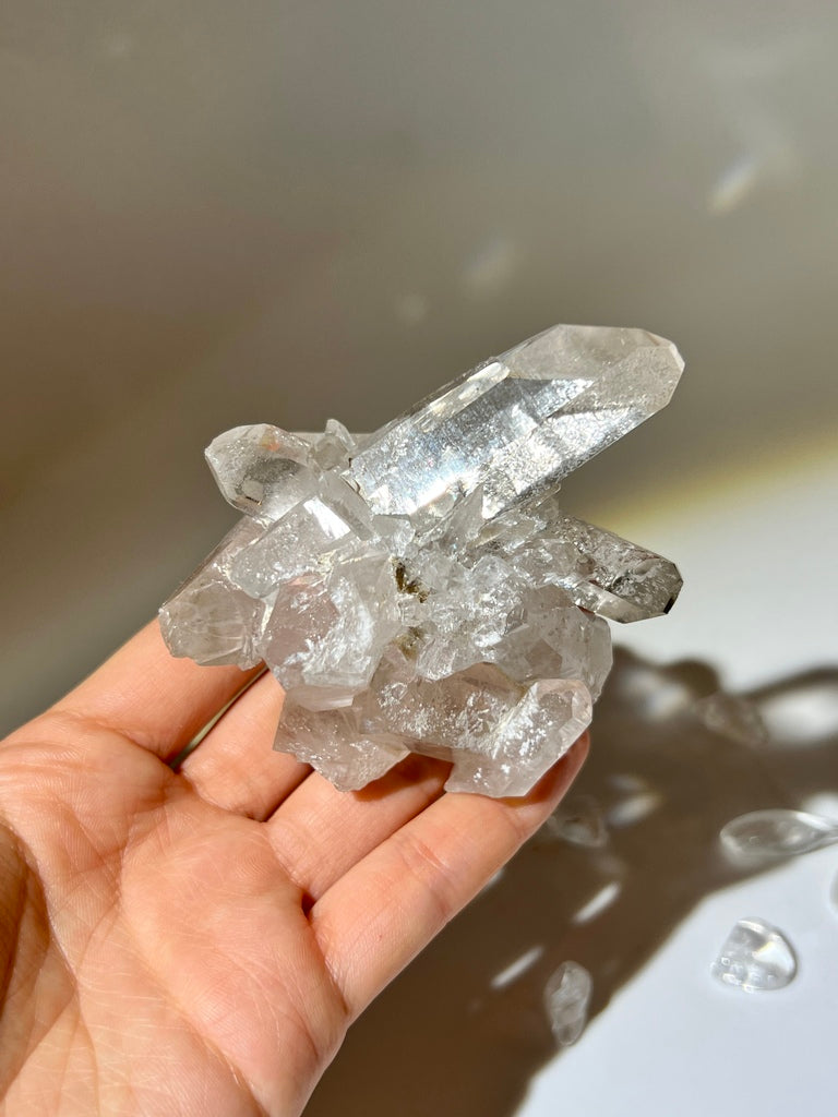 白晶簇