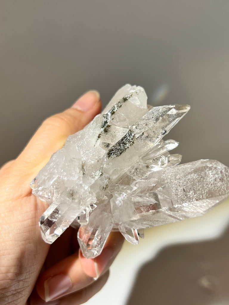 白晶簇