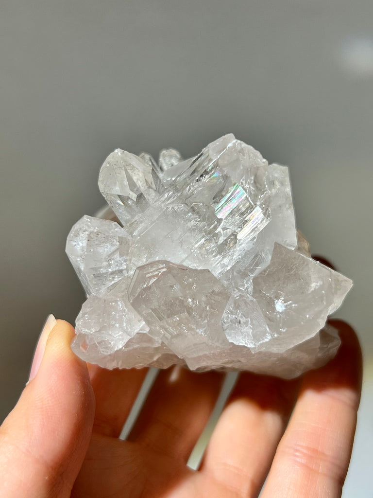 白晶簇