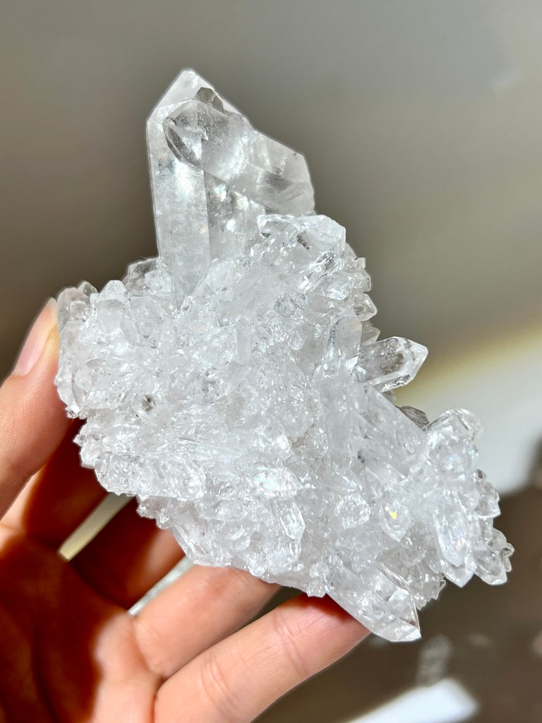 白晶簇