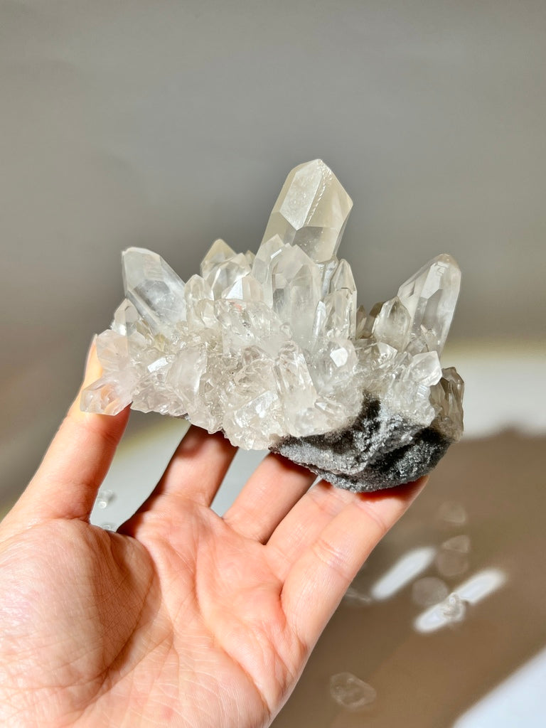 白晶簇