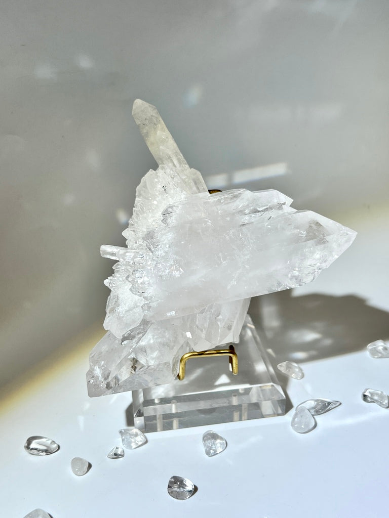 白晶簇