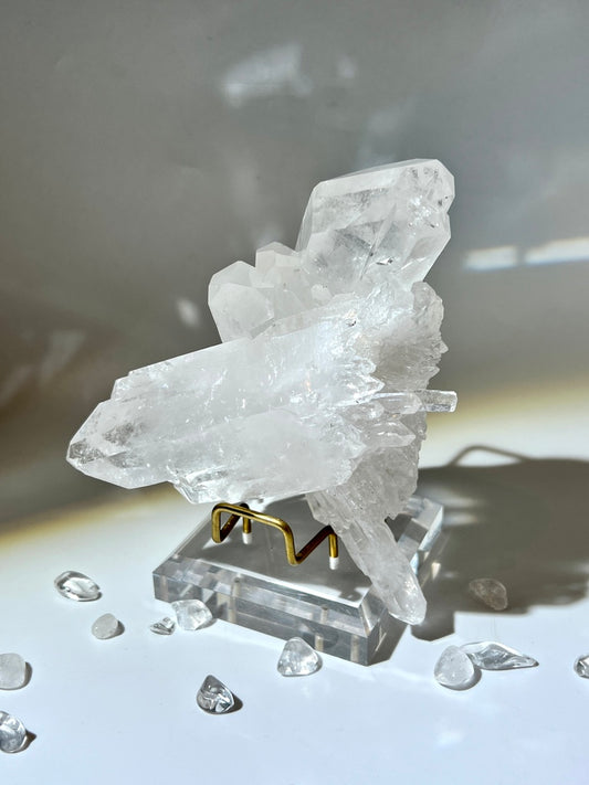 白晶簇