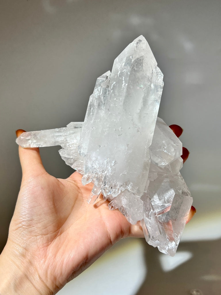 白晶簇