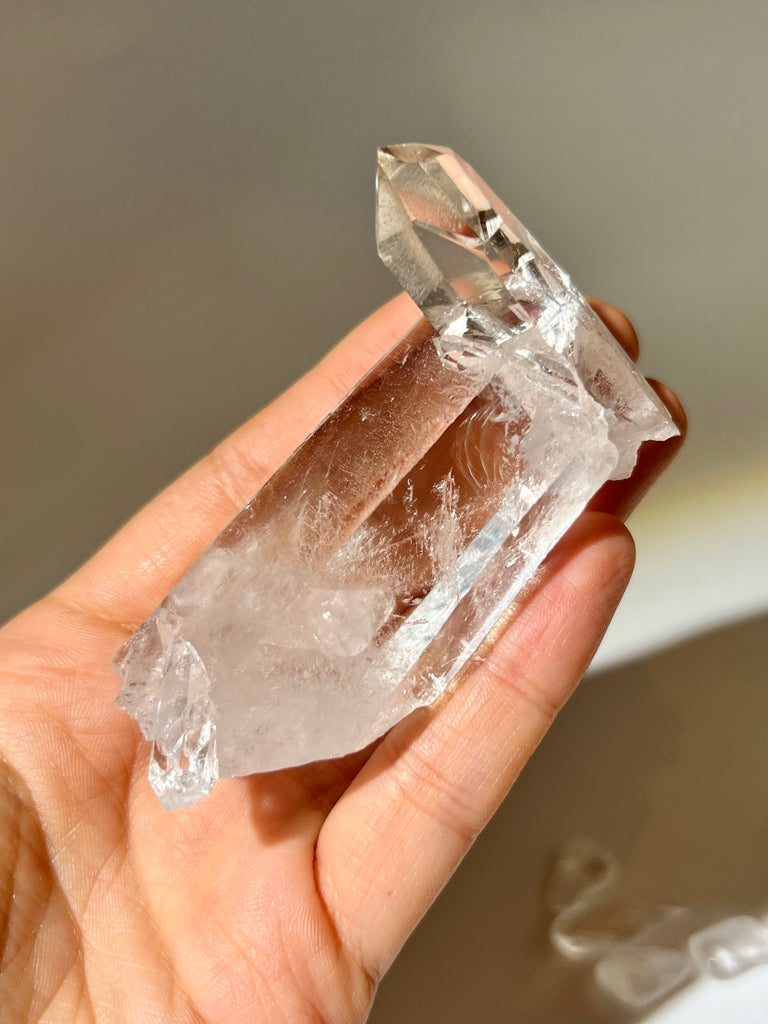 白晶簇