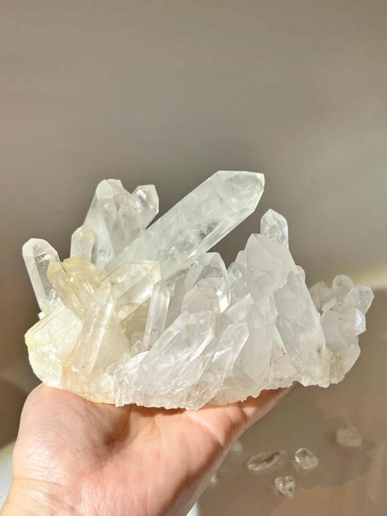 白晶簇