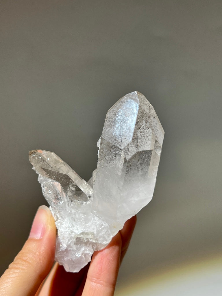 白晶簇