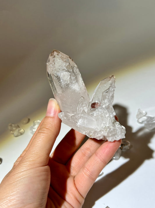 白晶簇