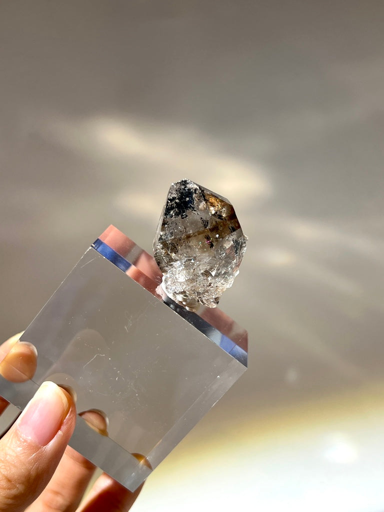 香檳金閃靈鑽