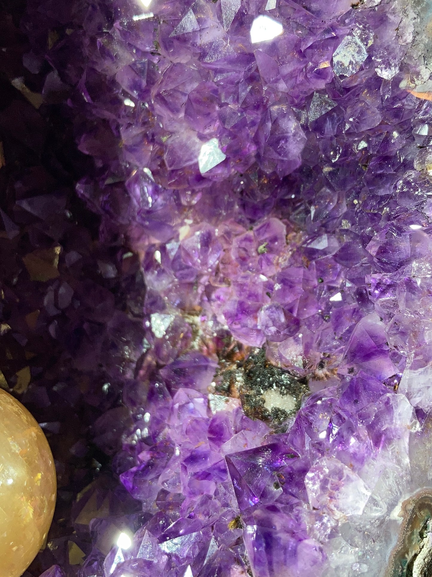 巴西恐龍蛋錢袋子（送底座）