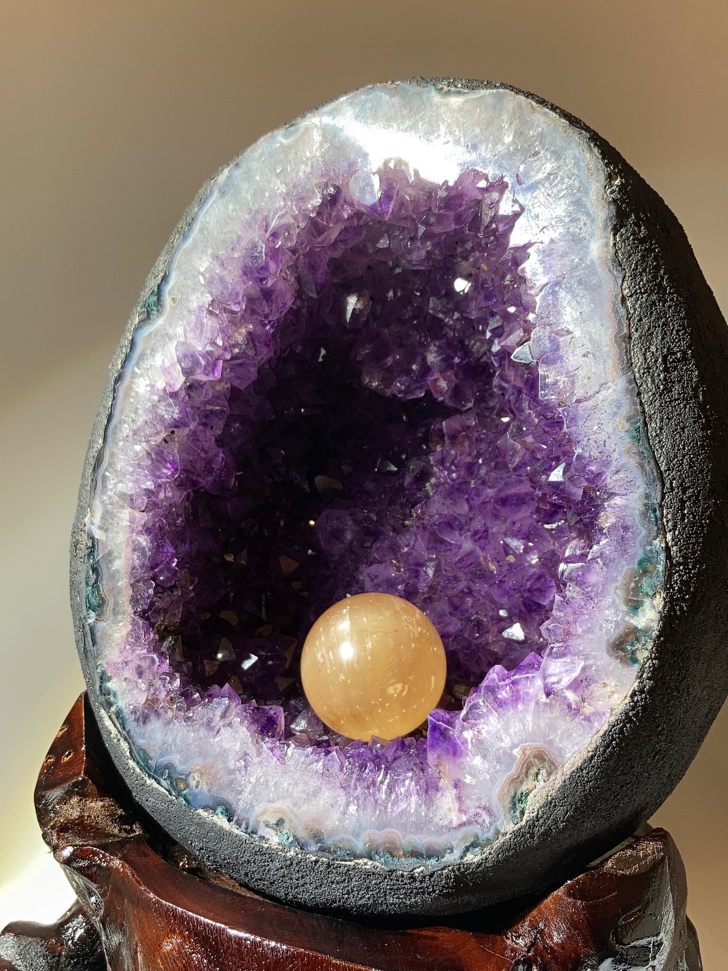 巴西恐龍蛋錢袋子（送底座）