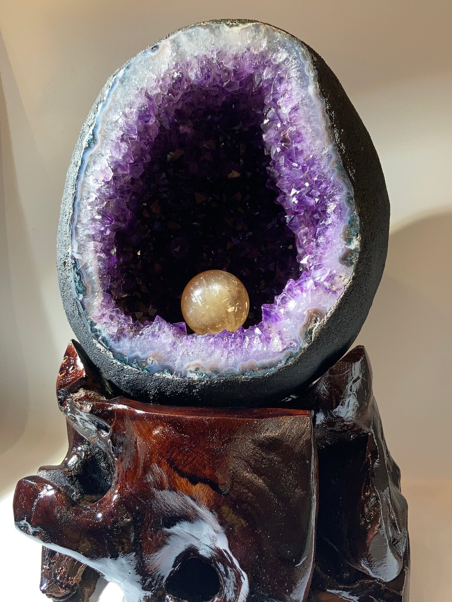 巴西恐龍蛋錢袋子