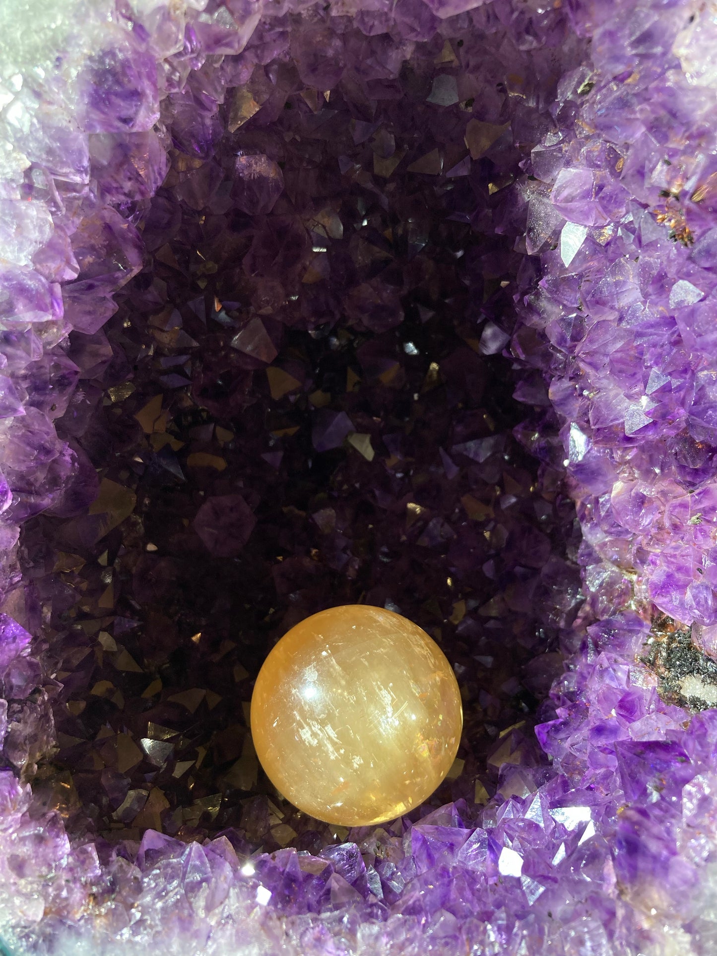 巴西恐龍蛋錢袋子（送底座）