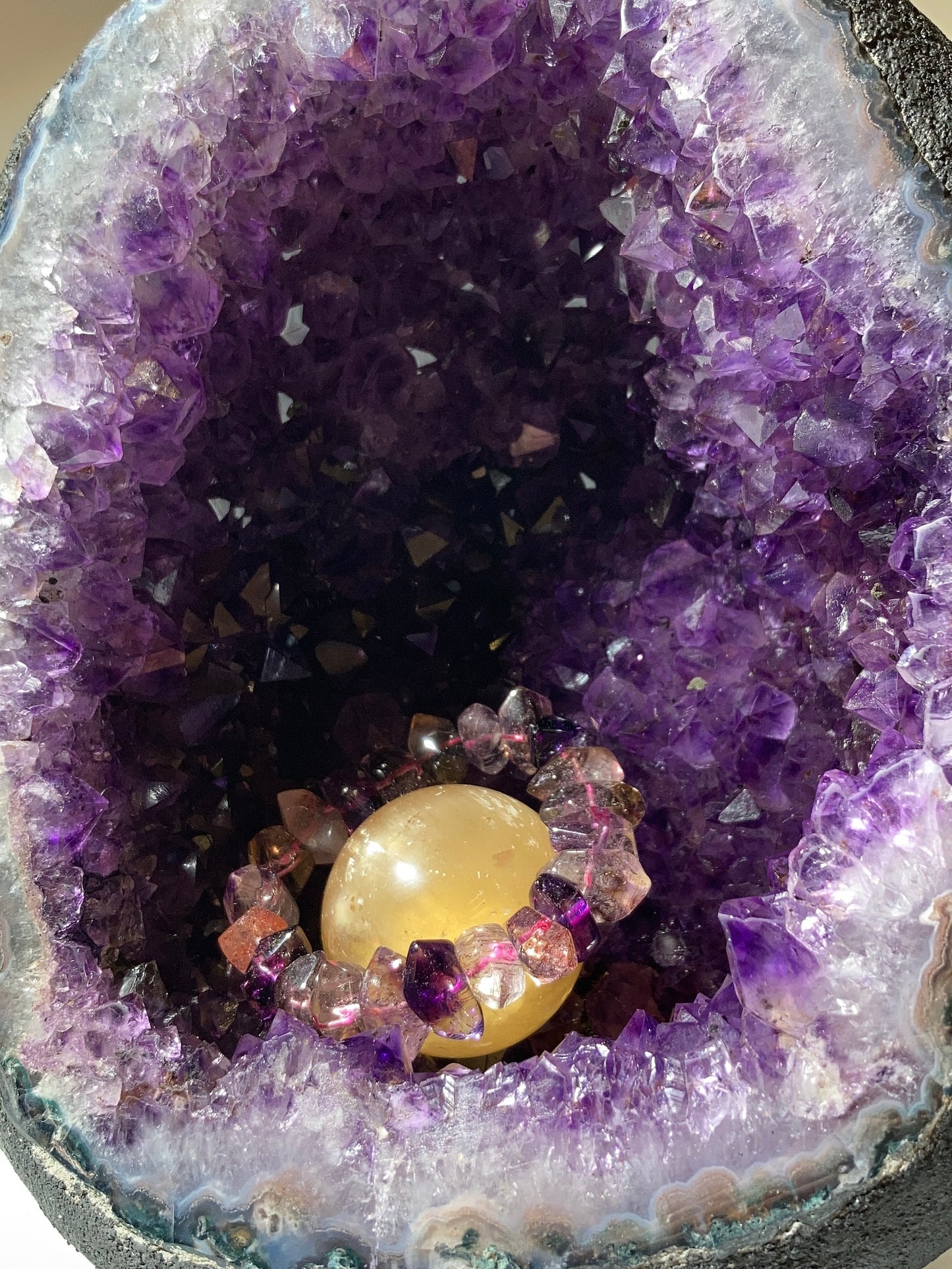 巴西恐龍蛋錢袋子（送底座）