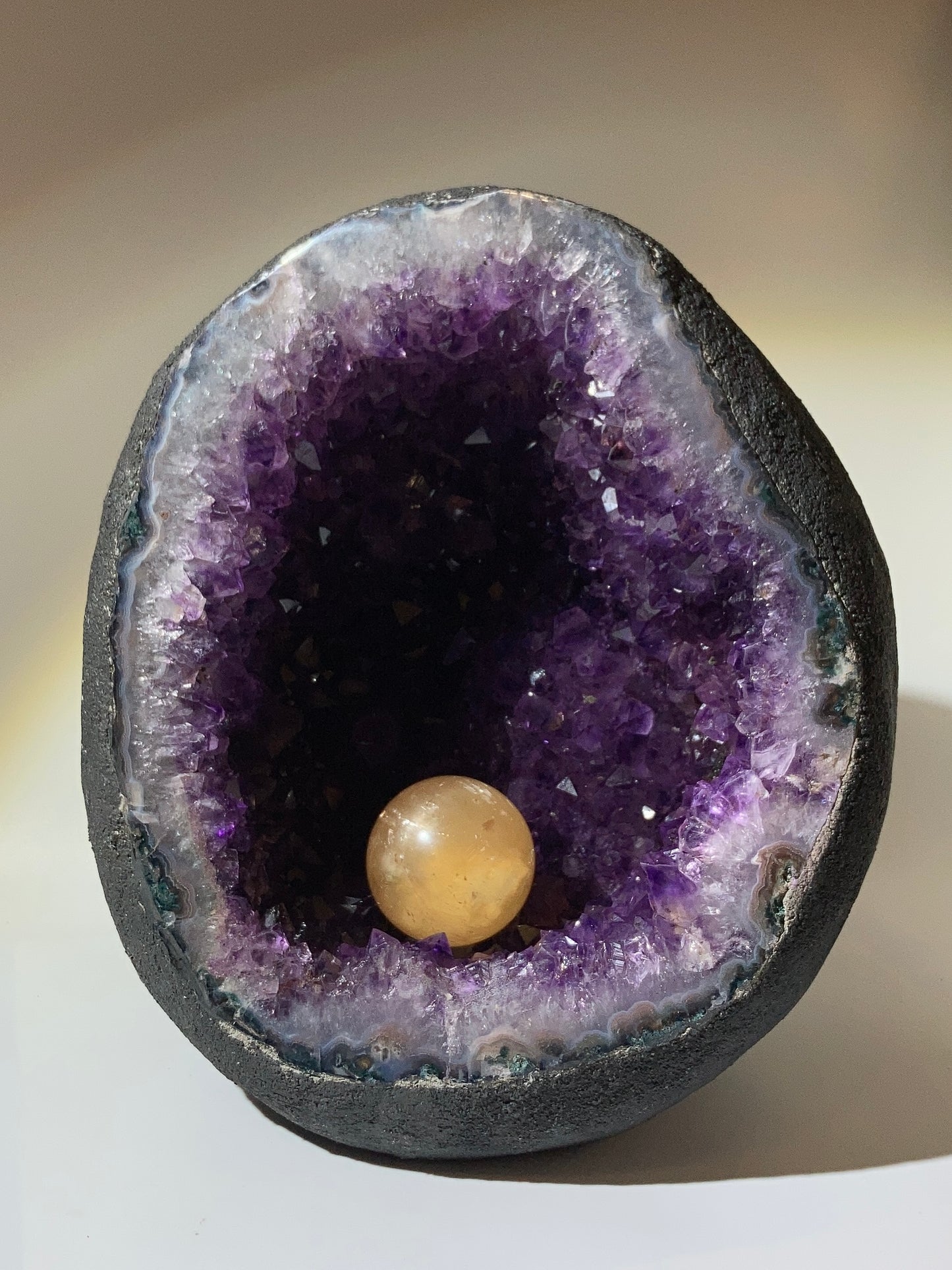 巴西恐龍蛋錢袋子（送底座）