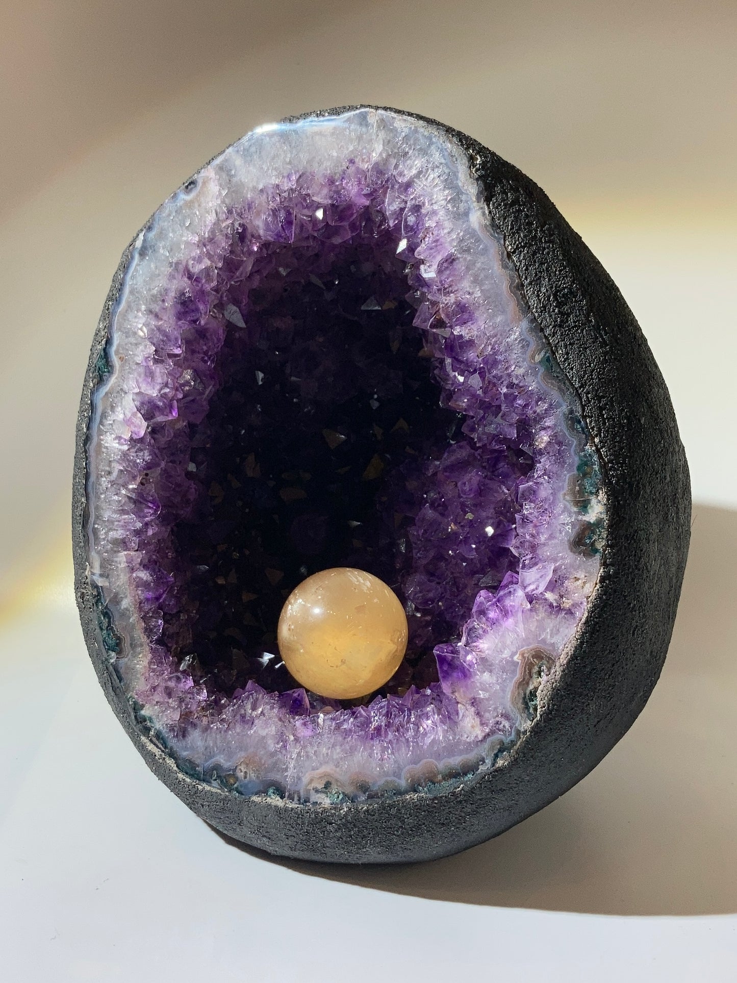 巴西恐龍蛋錢袋子（送底座）