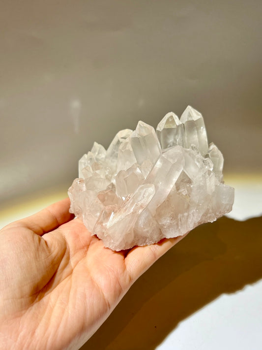 白晶簇
