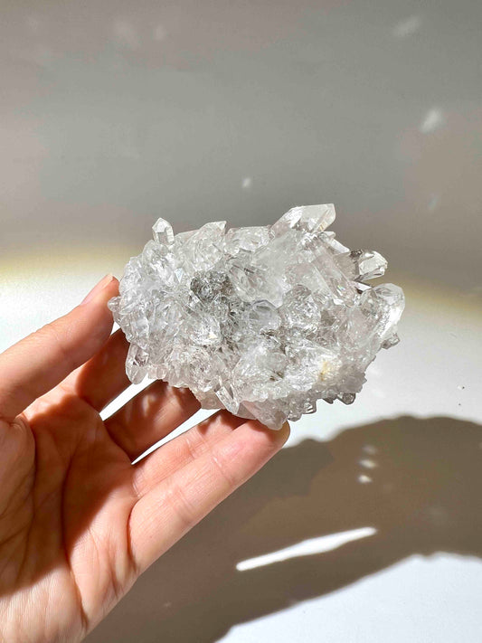 白晶簇